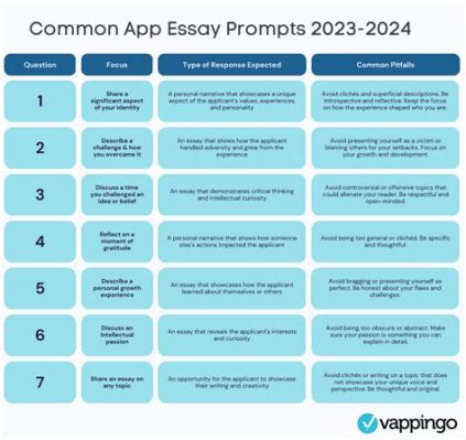 does clemson have supplemental essays for the 2024-2025 application cycle?